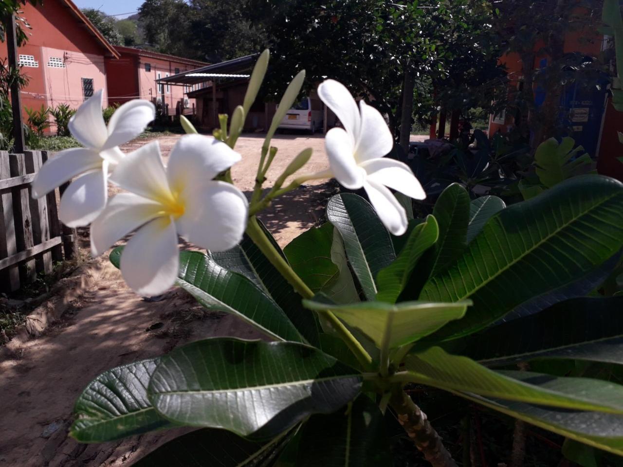 Hotel Lanta Lucky House Ko Lanta Exterior foto